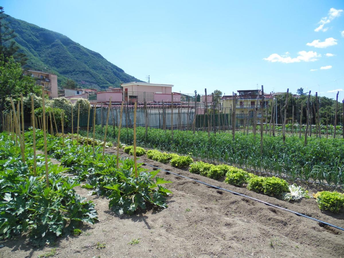 Villa Bianca Castellammare di Stabia Dış mekan fotoğraf