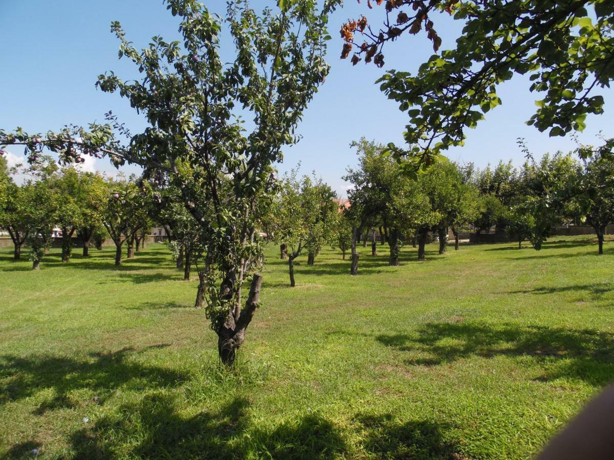 Villa Bianca Castellammare di Stabia Dış mekan fotoğraf